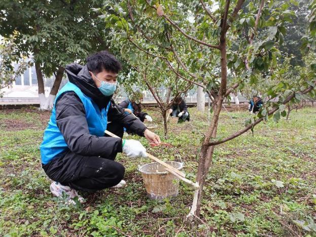 6ef2bc177e86e6a98d6226d9b6acf03