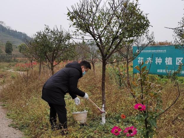 dbc96ce45c477b8a429379b15e365dd