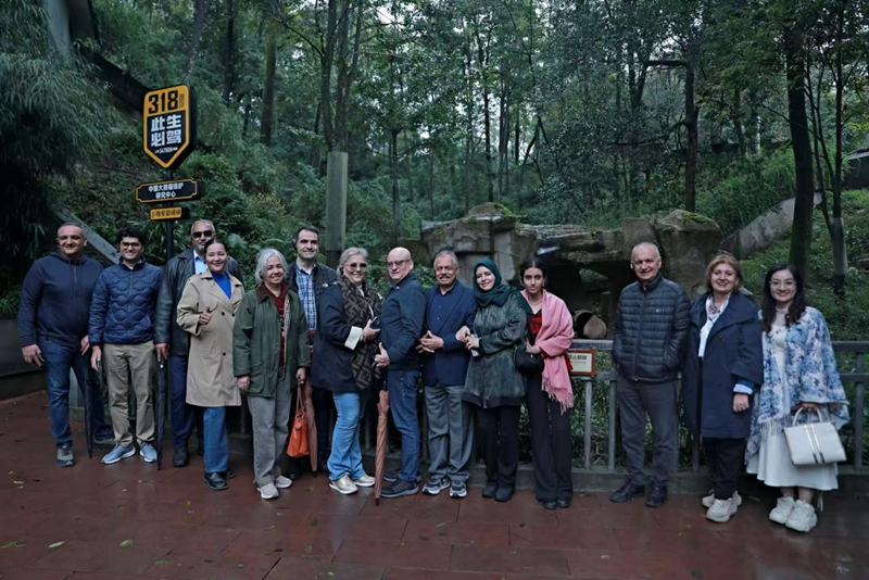 图片4_副本.png 图片4_副本.png