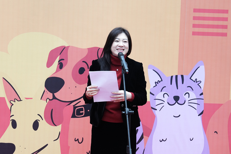 DSC00175_副本.jpg DSC00175_副本.jpg