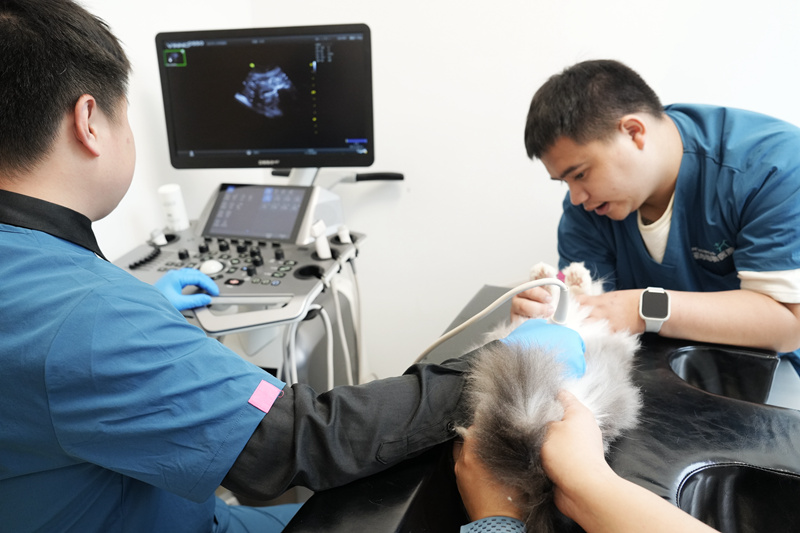 DSC00836_1_副本.jpg DSC00836_1_副本.jpg