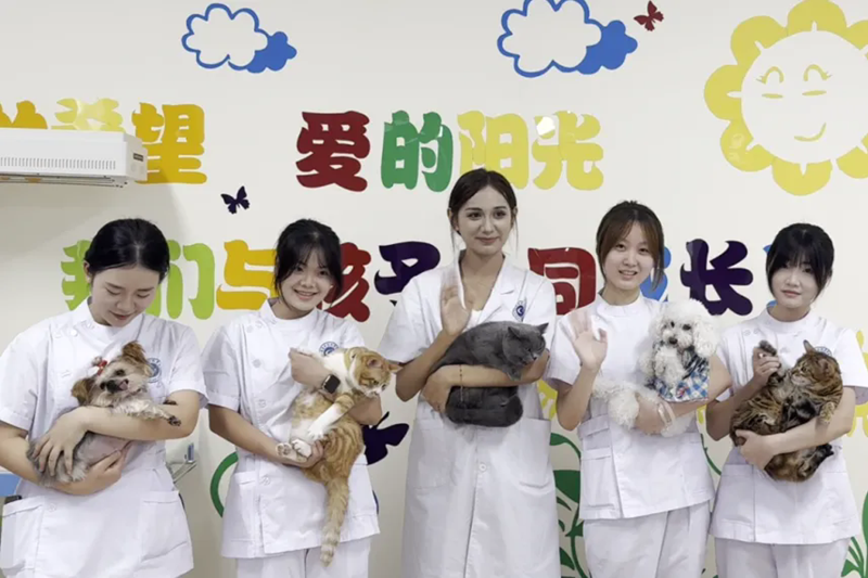 640.webp_副本.png 640.webp_副本.png