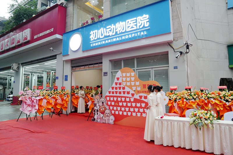 DSC09584_1_副本.jpg DSC09584_1_副本.jpg