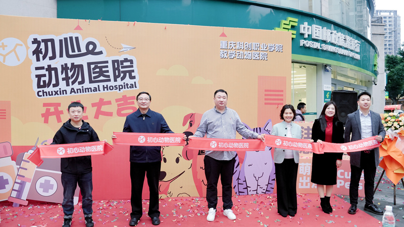 微信图片_20251114154139_1576_31_副本.jpg 微信图片_20251114154139_1576_31_副本.jpg