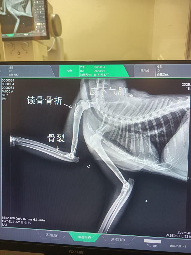 微信图片_20251216102108_877_134.jpg 微信图片_20251216102108_877_134.jpg